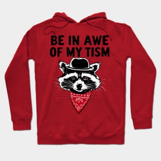 Funny Saying Raccoon Be In Awe Of My 'Tism Hoodie